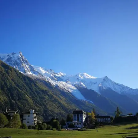 Daire Le Savoy - Terrasse Avec Vue Sur Le Mont-blanc